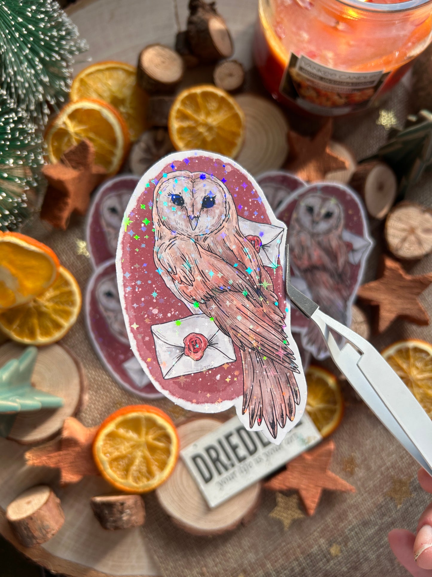 Sticker - Eule mit Briefen