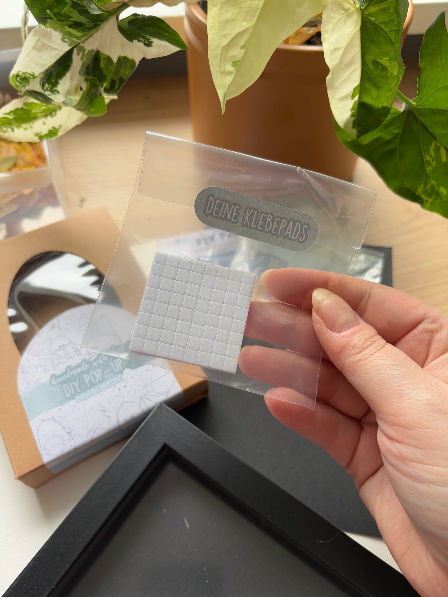 DIY Pop-Up-Kit - "Totenschwärmer" (DIN A5)