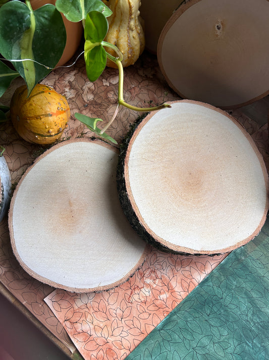 Birkenscheibe auf Wunsch (20cm ø)