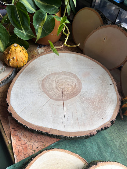 Birkenscheibe auf Wunsch (34cm ø)
