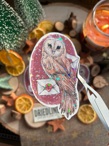 Sticker - Eule mit Briefen