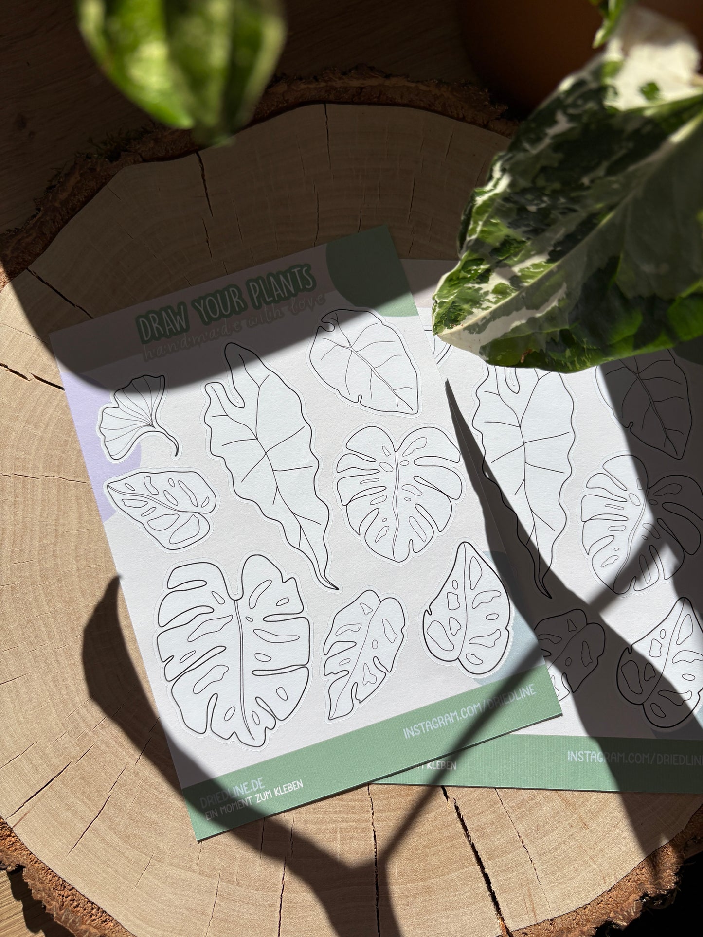 Sticker Sheet -Draw your plants (matt)