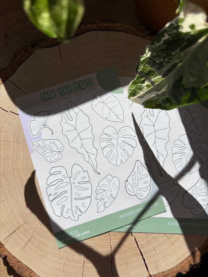 Sticker Sheet -Draw your plants (matt)