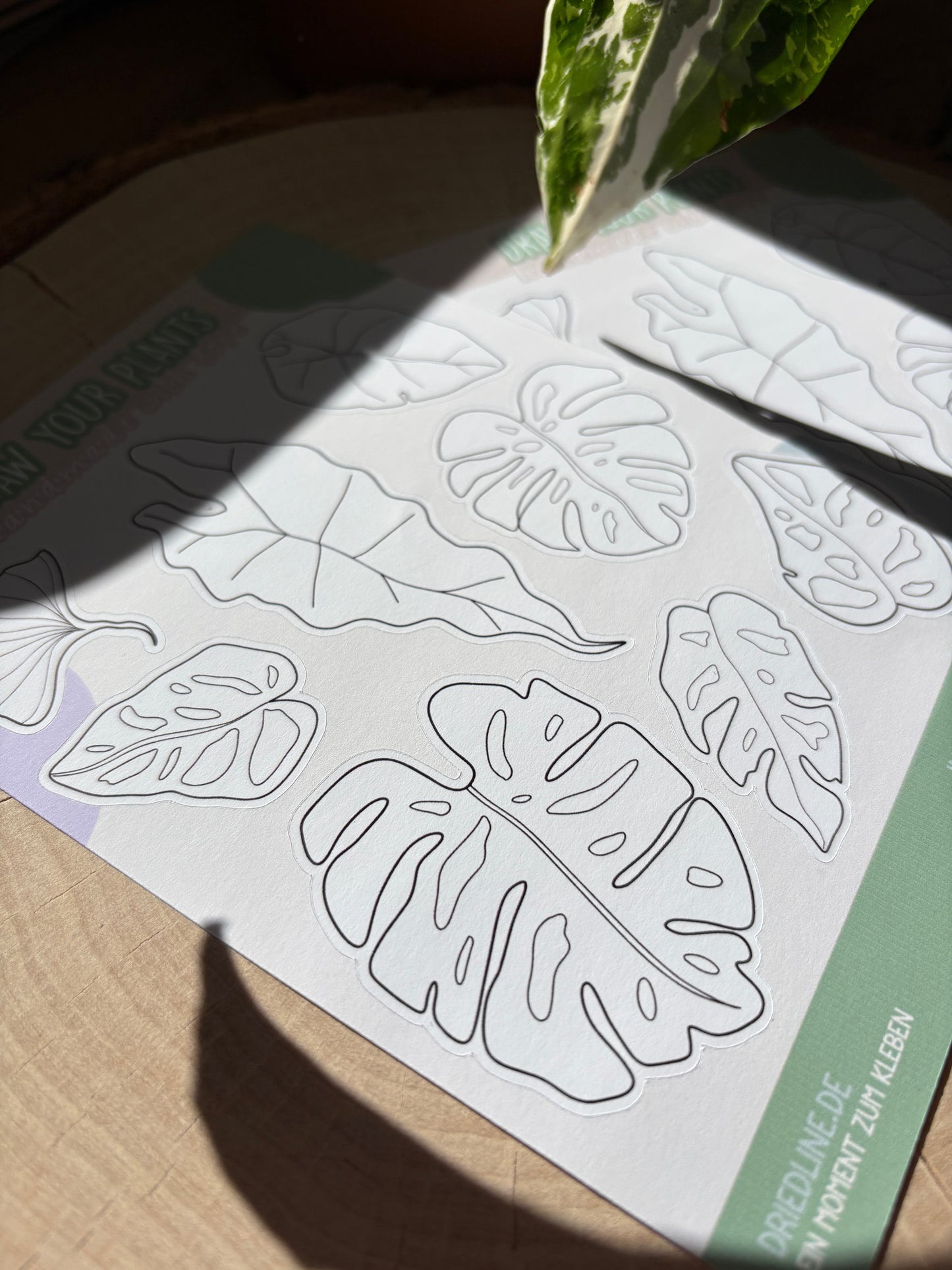 Sticker Sheet -Draw your plants (matt)