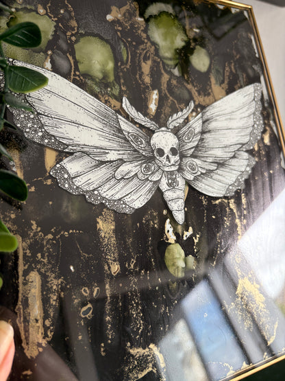 Alk Ink - Totenschwärmer #3 (28/21cm)