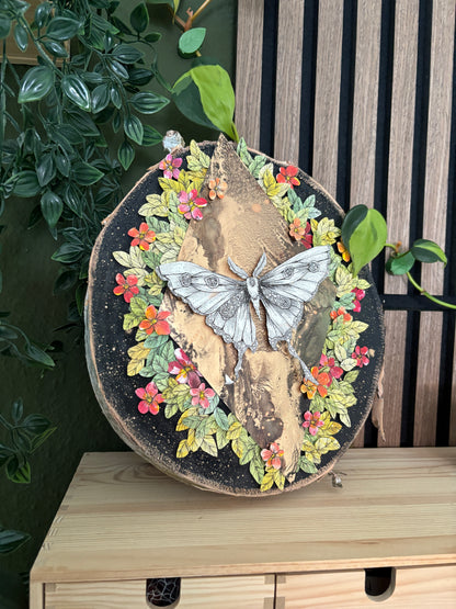 Artwood - Motte (28cm)