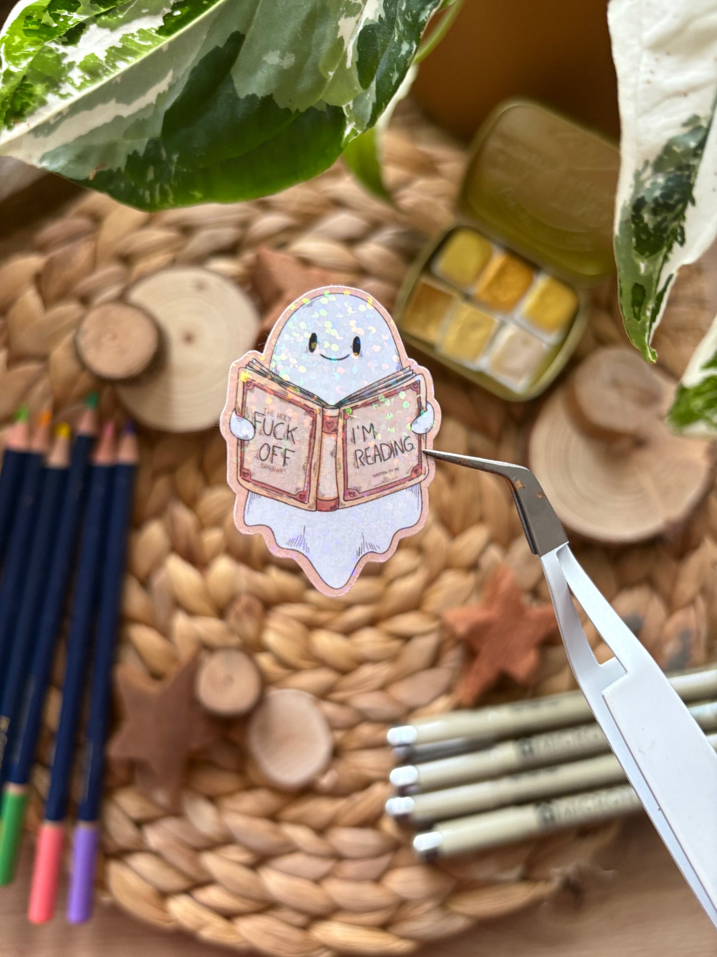 Sticker - "Fck off, I'm reading"