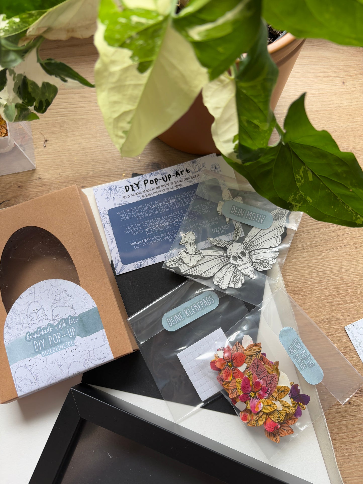 DIY Pop-Up-Kit - "Totenschwärmer" (DIN A5)