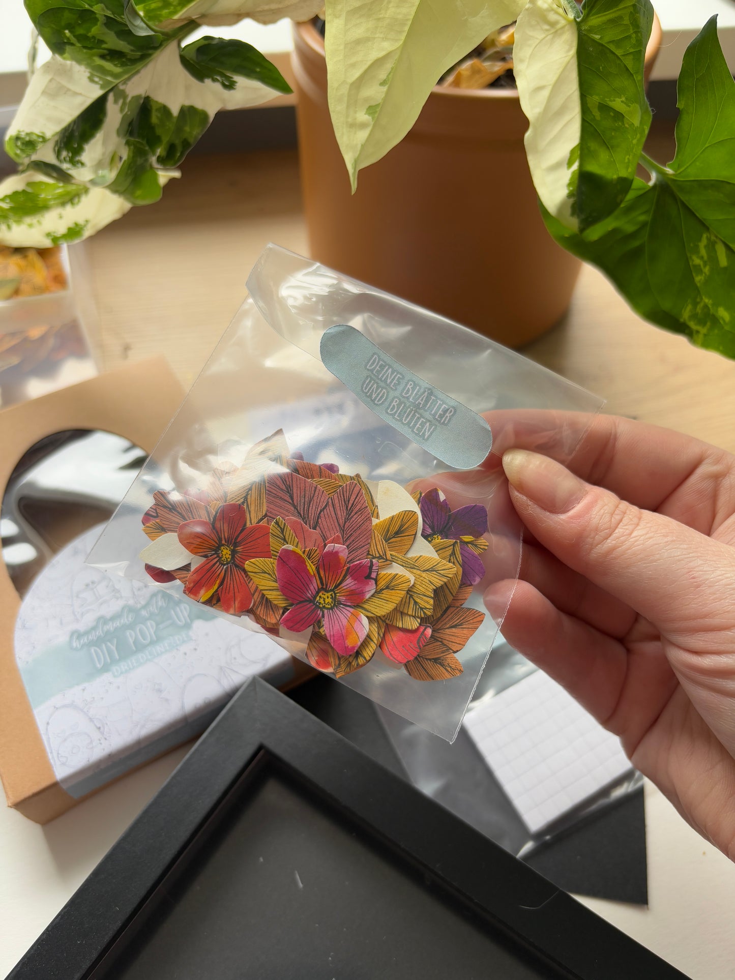 DIY Pop-Up-Kit - "Totenschwärmer" (DIN A5)