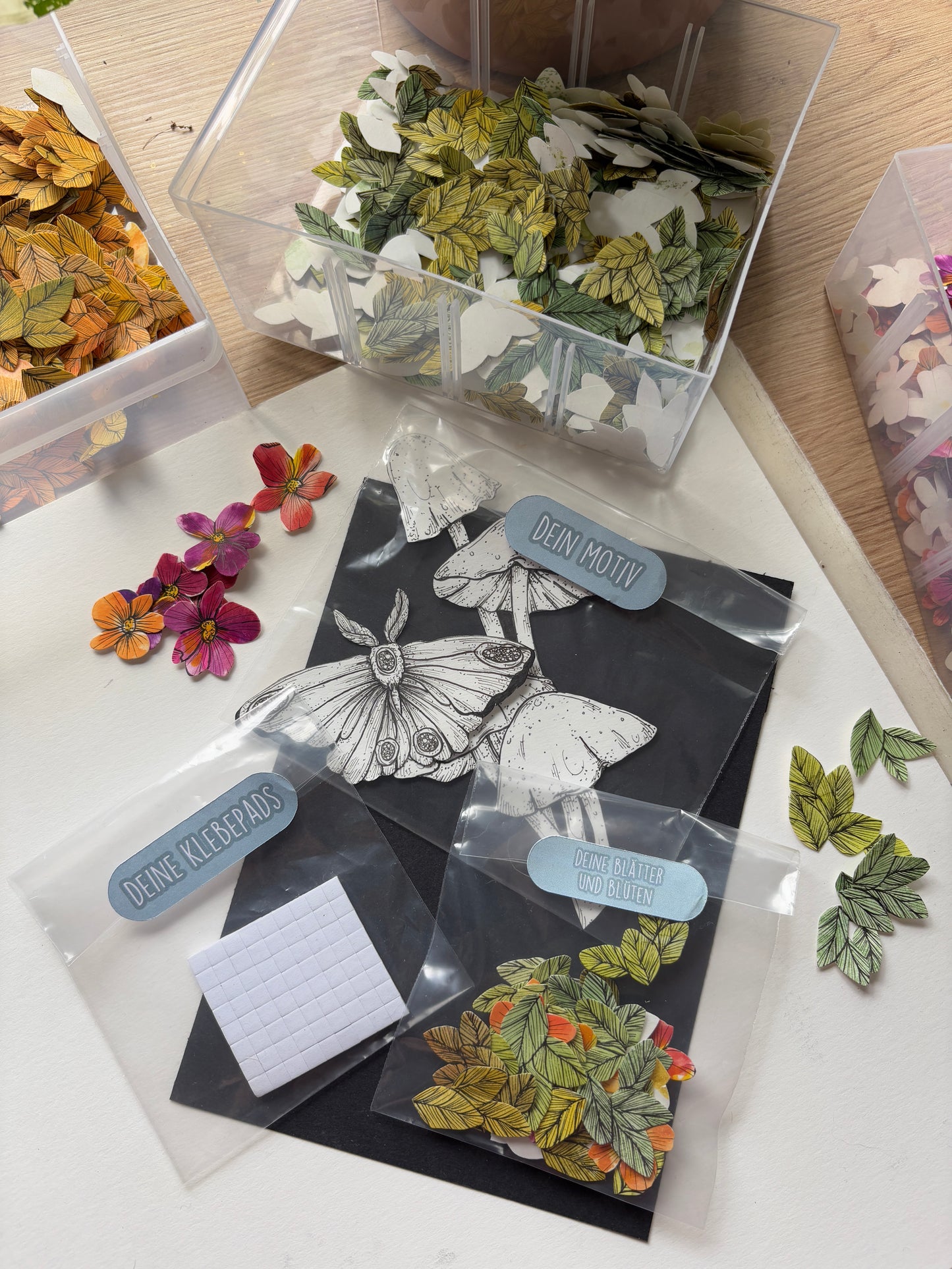 DIY Pop-Up-Kit "Mottenzauber" (DIN A5)