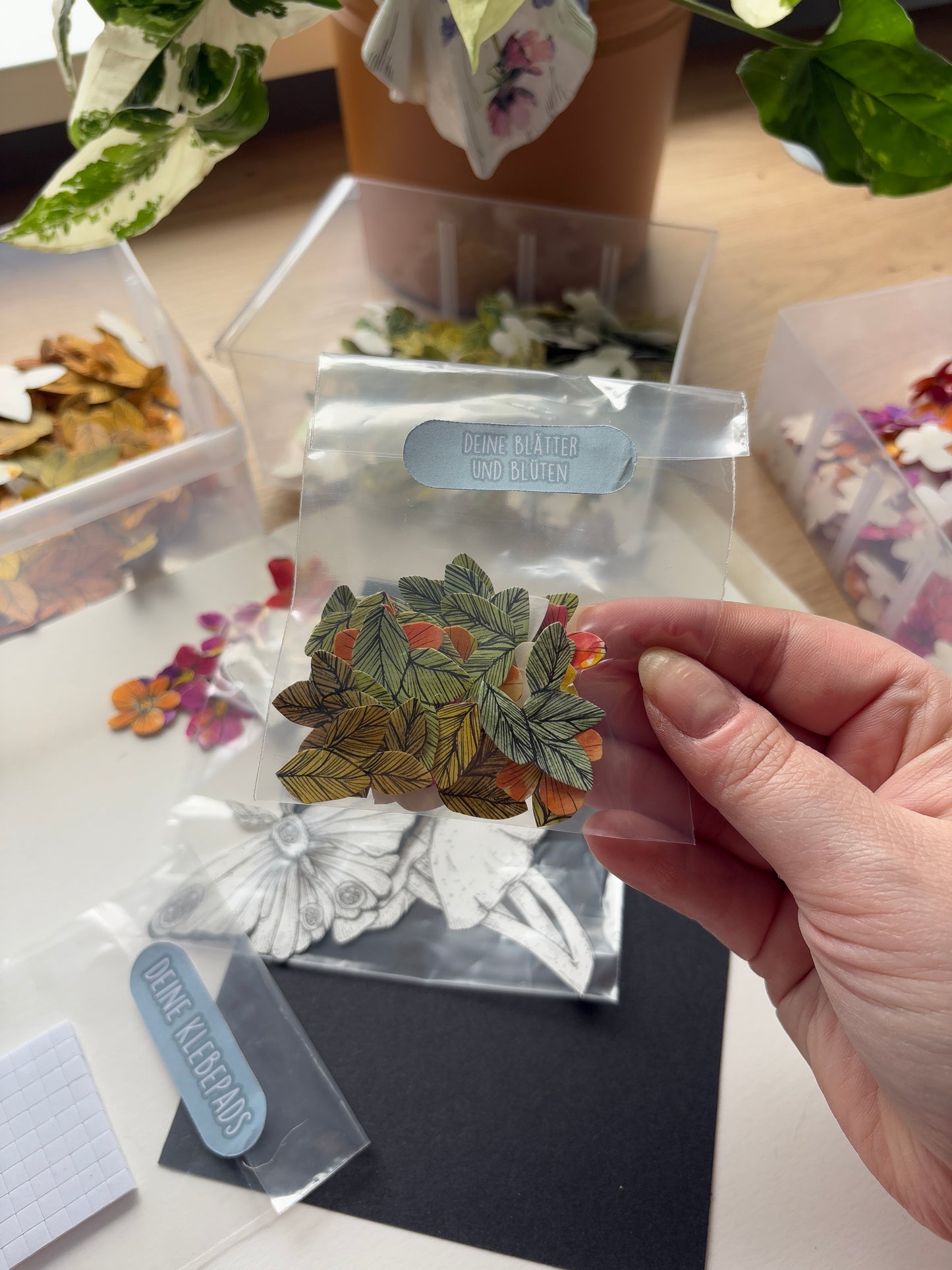 DIY Pop-Up-Kit "Mottenzauber" (DIN A5)