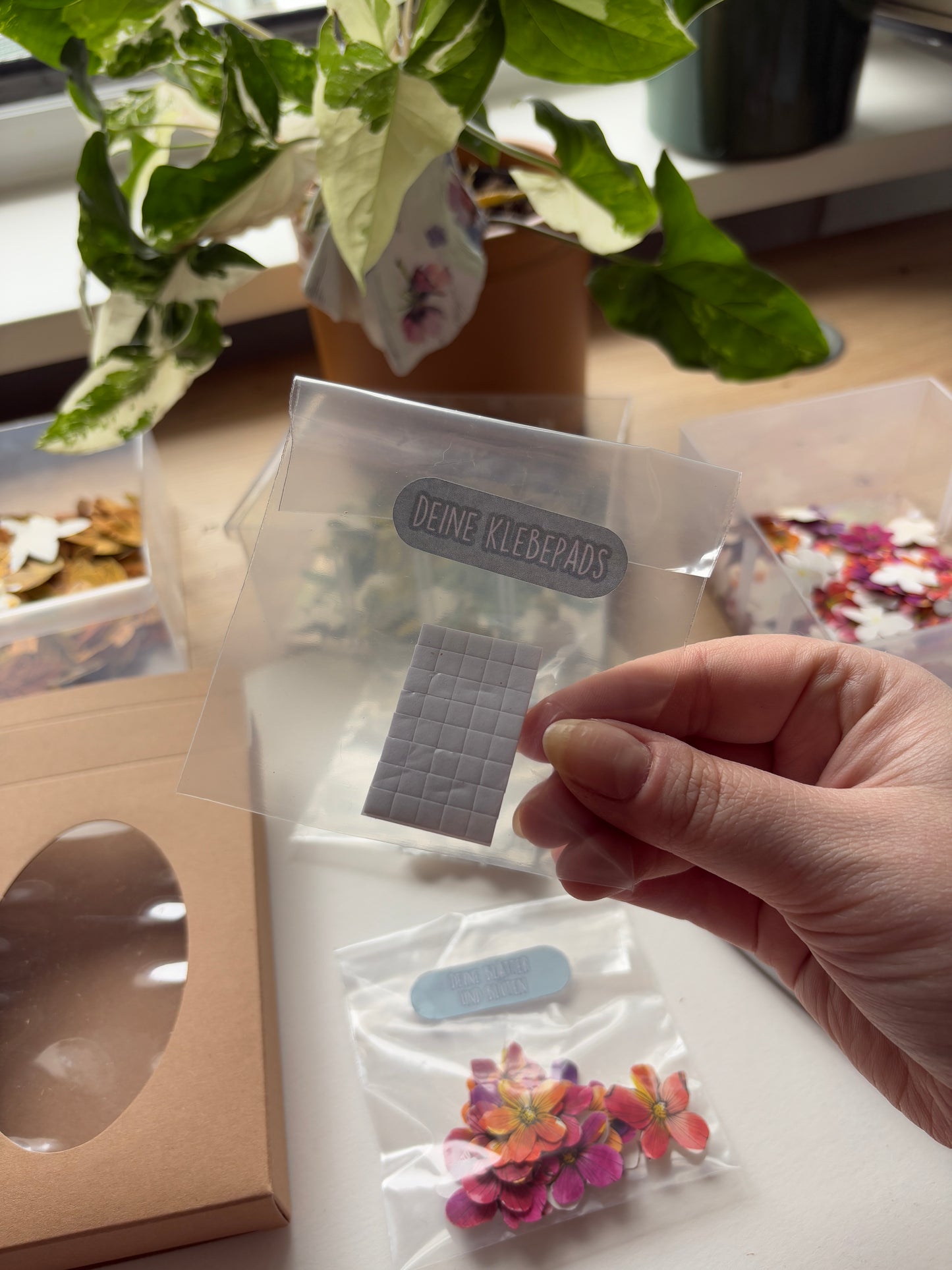 DIY Pop-Up-Kit "Schmetterlingsfreund" (DIN A6)