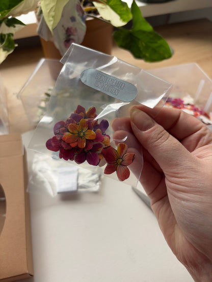 DIY Pop-Up-Kit "Schmetterlingsfreund" (DIN A6)