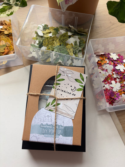 DIY Pop-Up-Kit "Schmetterlingsfreund" (DIN A6)