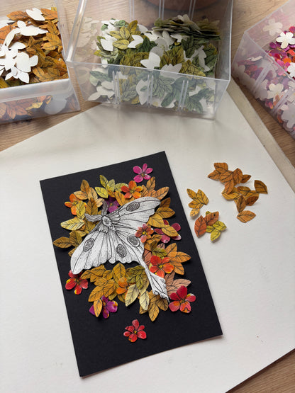 DIY Pop-Up-Kit "Luna Moth" (DIN A5)