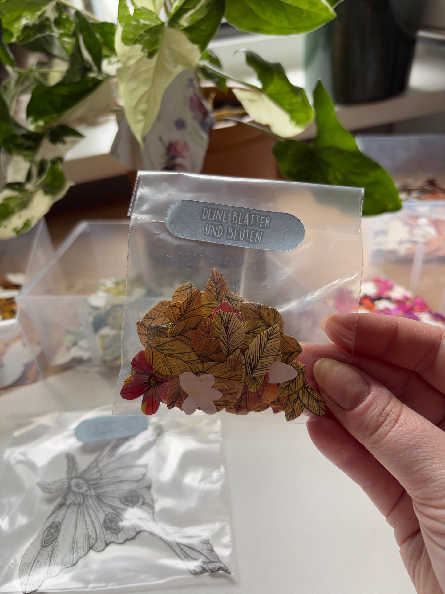 DIY Pop-Up-Kit "Luna Moth" (DIN A5)