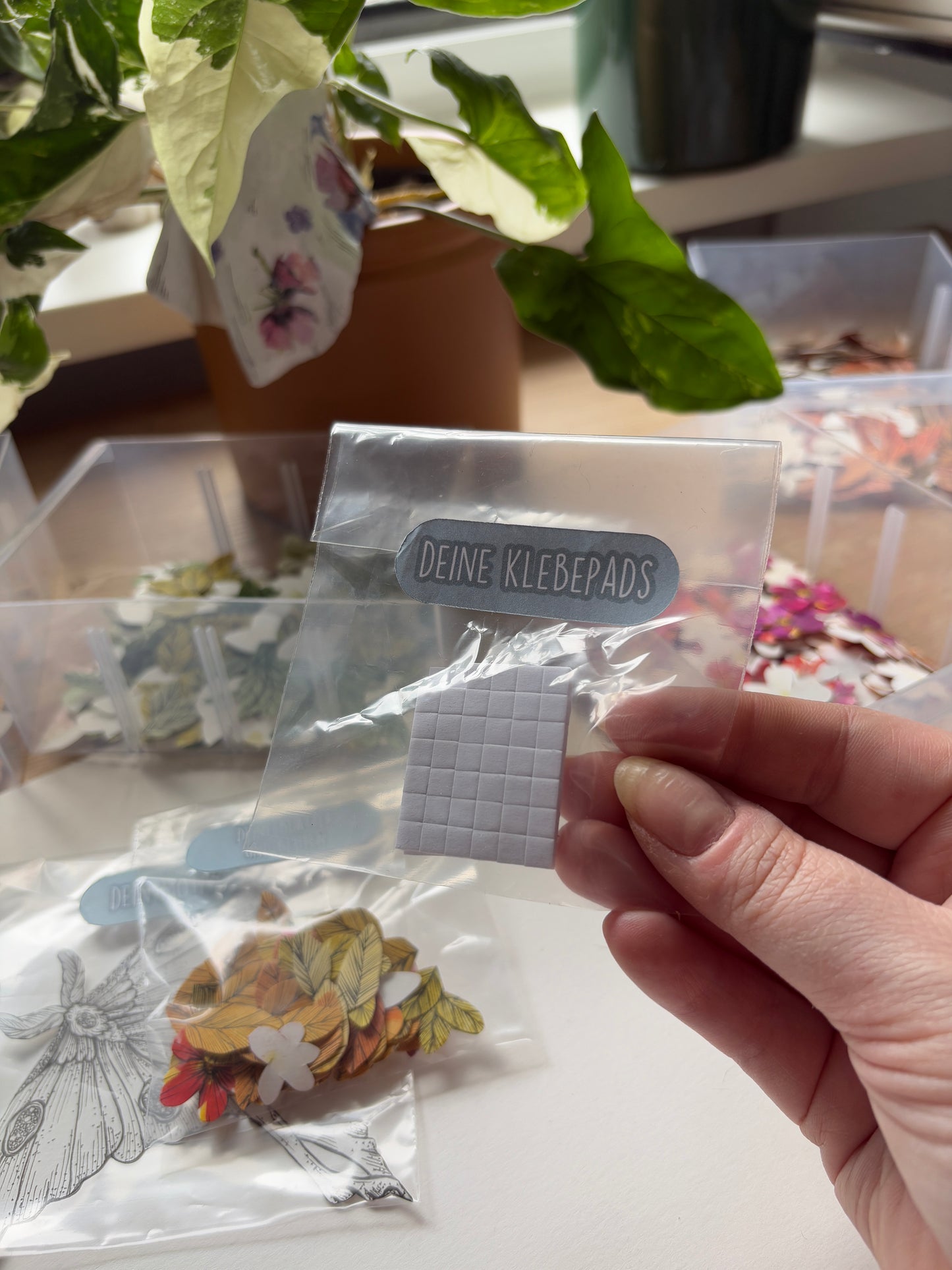 DIY Pop-Up-Kit "Luna Moth" (DIN A5)