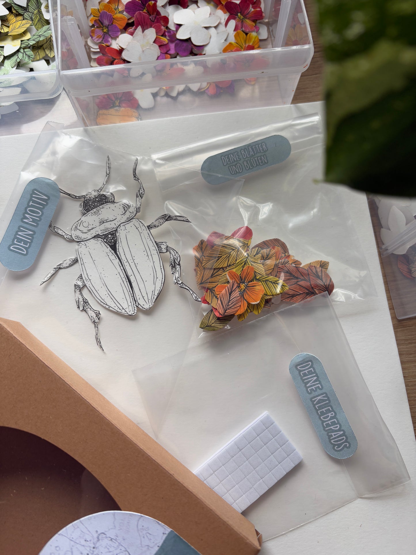 DIY Pop-Up-Kit "Käferzauber" (DIN A6)
