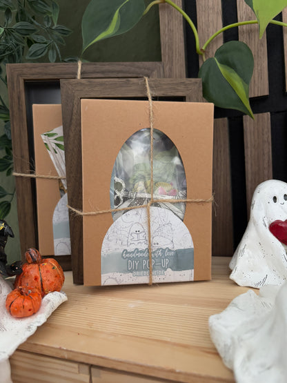 DIY Pop-Up-Kit "Luna Moth" (DIN A5)