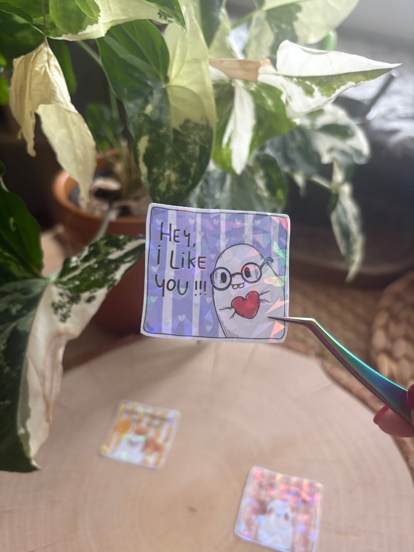 Sticker - "Hey I like you"