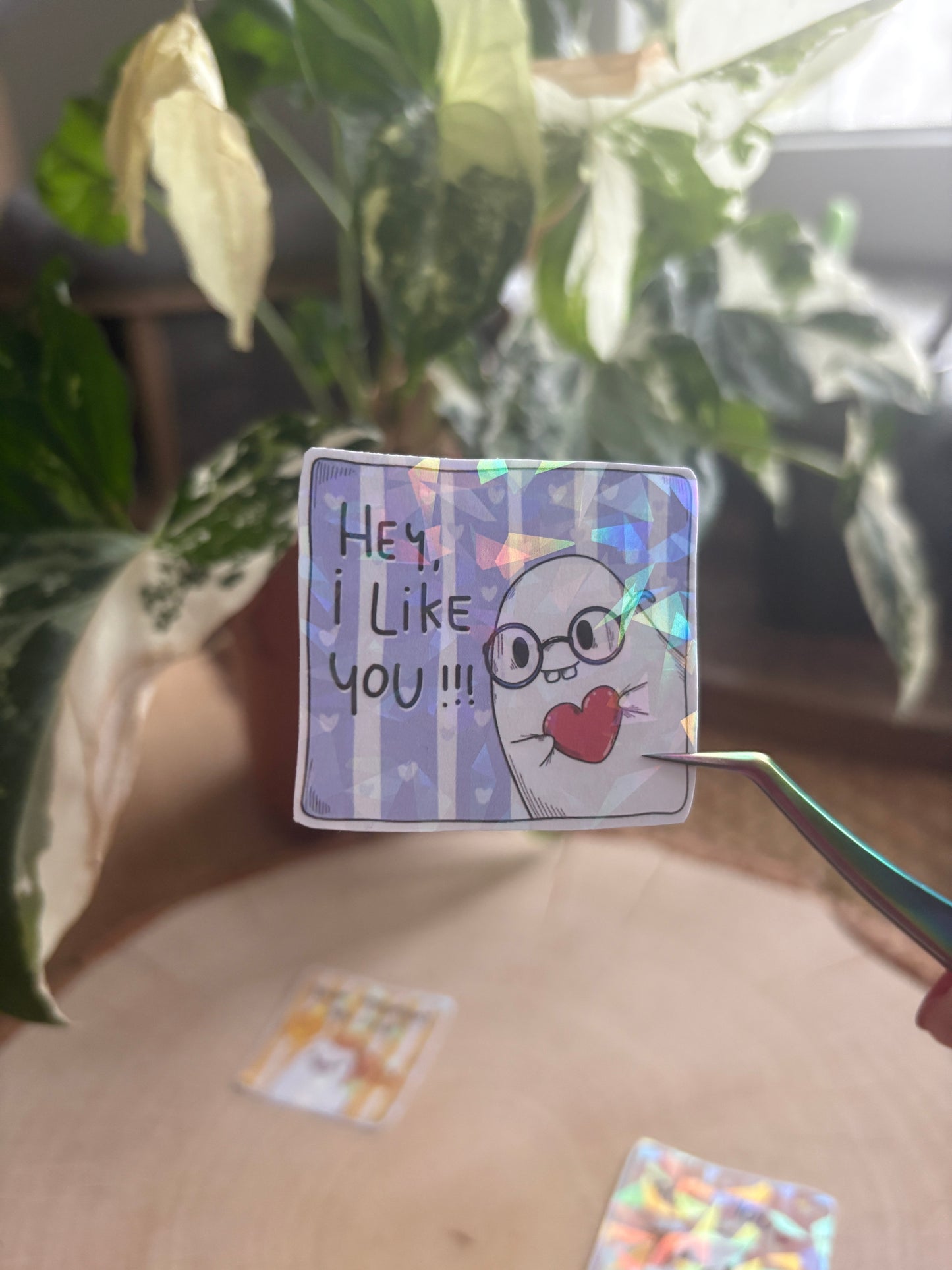 Sticker - "Hey I like you"