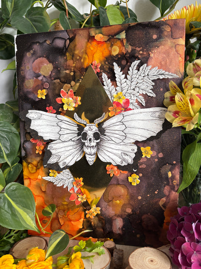 Pop-Up-Canva - Totenkopfschwärmer (30x40cm)