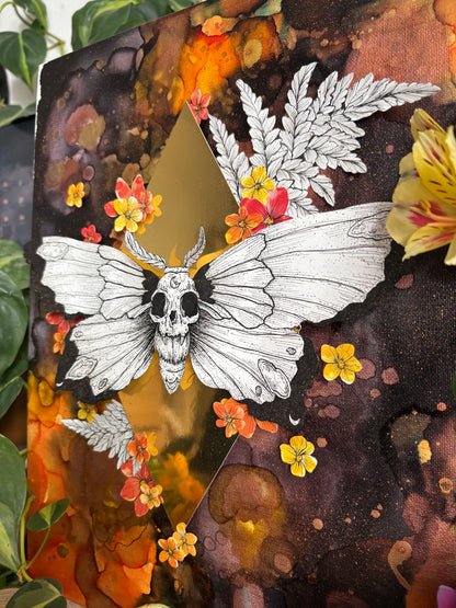 Pop-Up-Canva - Totenkopfschwärmer (30x40cm)