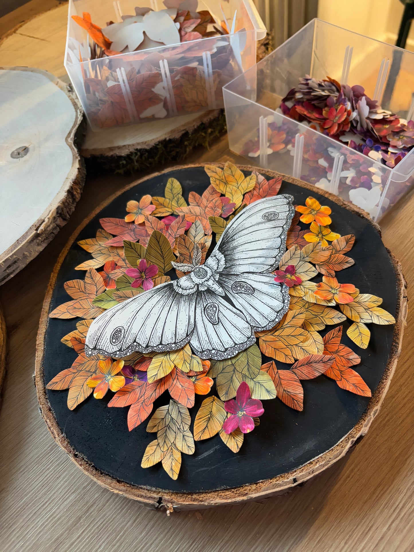 DIY Pop-Up-Kit "Motten-Liebe" (23cm Holzscheibe)