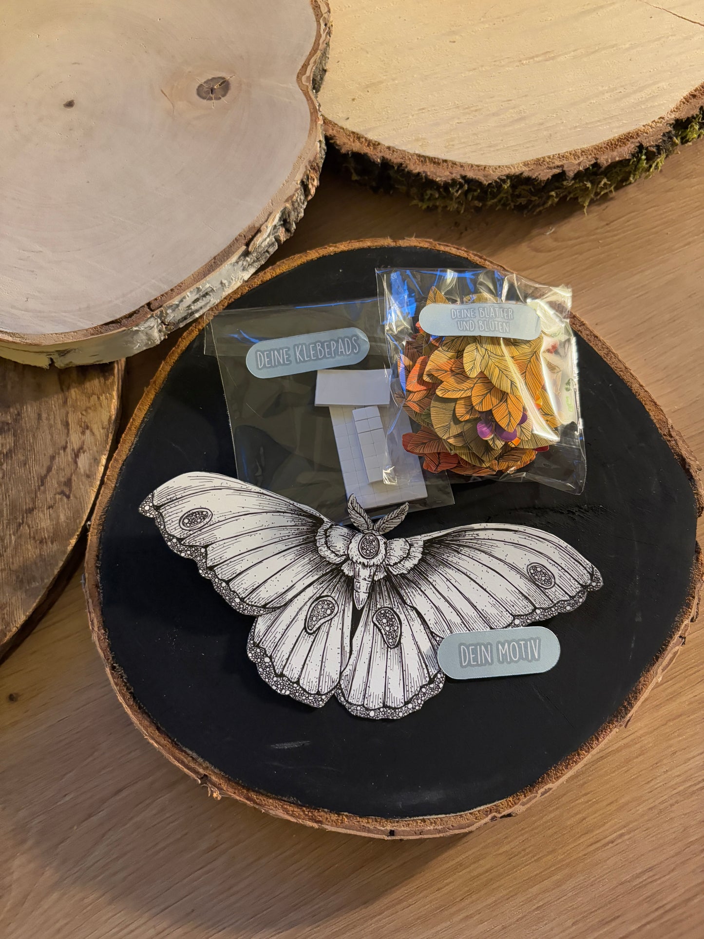 DIY Pop-Up-Kit "Motten-Liebe" (23cm Holzscheibe)