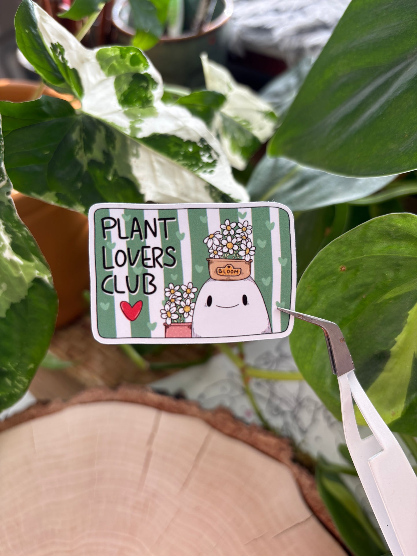 Sticker -"Plant Lovers Club" (matt)